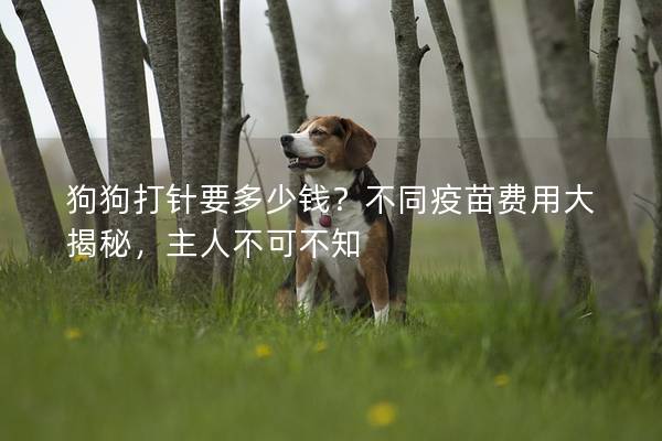 狗狗打针要多少钱？不同疫苗费用大揭秘，主人不可不知