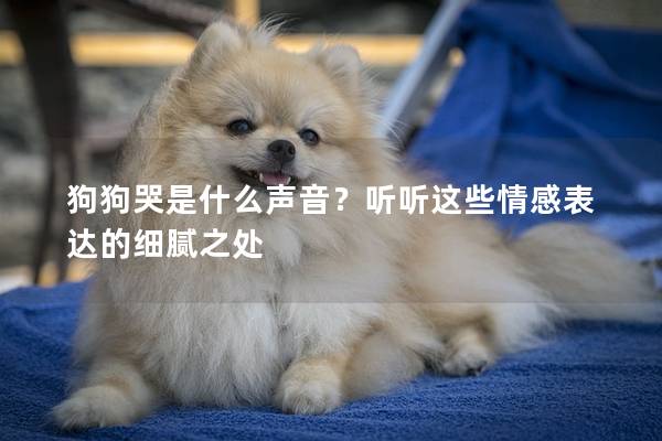 狗狗哭是什么声音？听听这些情感表达的细腻之处