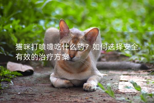 猫咪打喷嚏吃什么药？如何选择安全有效的治疗方案