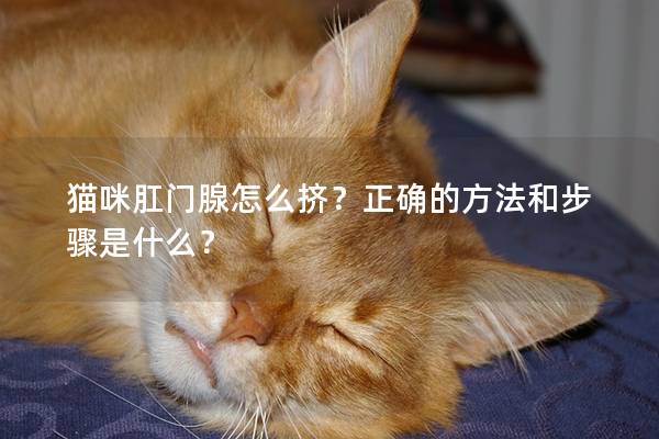 猫咪肛门腺怎么挤？正确的方法和步骤是什么？