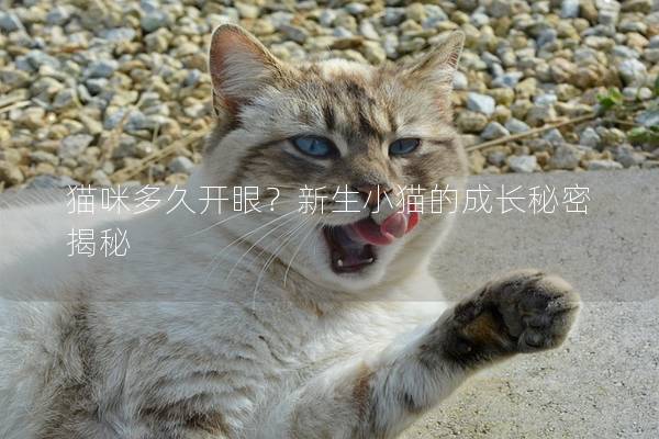 猫咪多久开眼？新生小猫的成长秘密揭秘