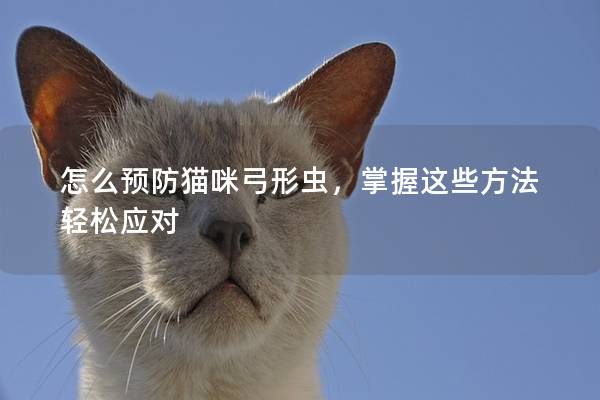 怎么预防猫咪弓形虫，掌握这些方法轻松应对