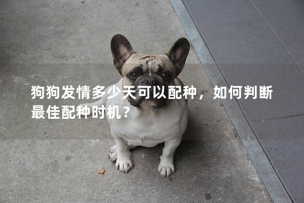 狗狗发情多少天可以配种，如何判断最佳配种时机？