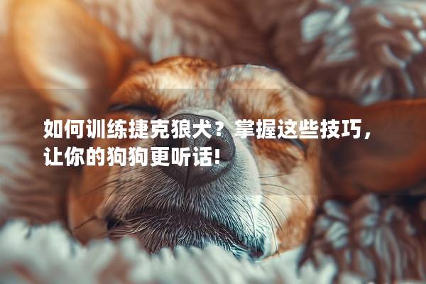 如何训练捷克狼犬？掌握这些技巧，让你的狗狗更听话!