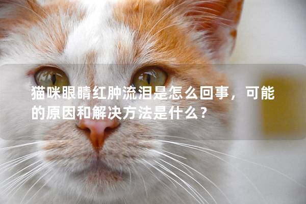 猫咪眼睛红肿流泪是怎么回事，可能的原因和解决方法是什么？