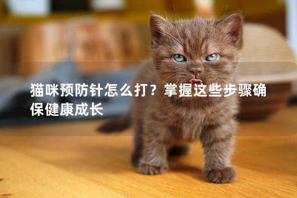 猫咪预防针怎么打？掌握这些步骤确保健康成长