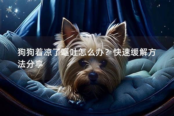 狗狗着凉了呕吐怎么办？快速缓解方法分享