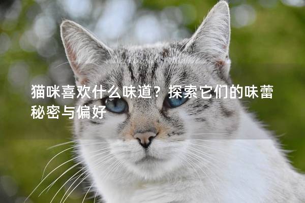 猫咪喜欢什么味道？探索它们的味蕾秘密与偏好