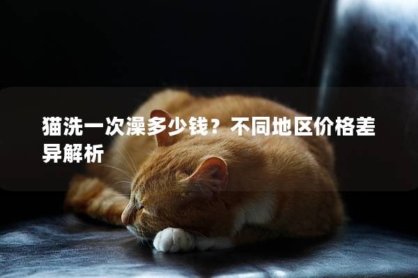 猫洗一次澡多少钱？不同地区价格差异解析