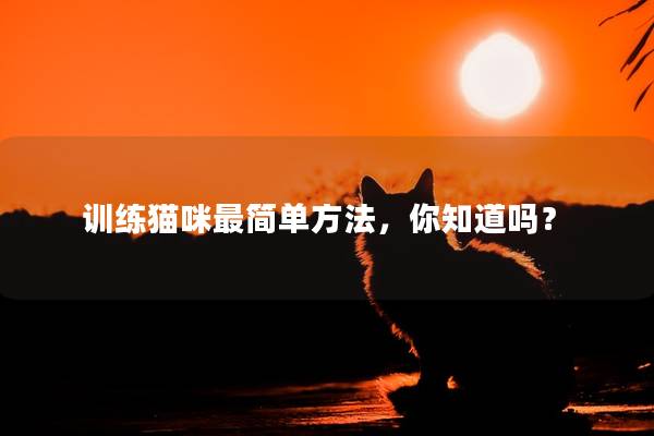 训练猫咪最简单方法，你知道吗？