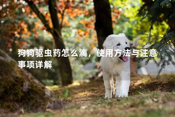 狗狗驱虫药怎么滴，使用方法与注意事项详解