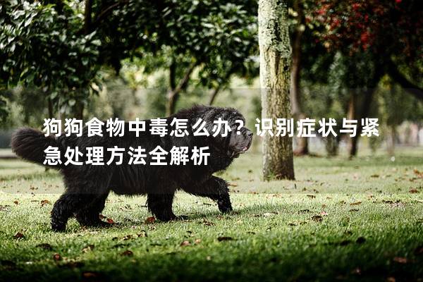 狗狗食物中毒怎么办？识别症状与紧急处理方法全解析