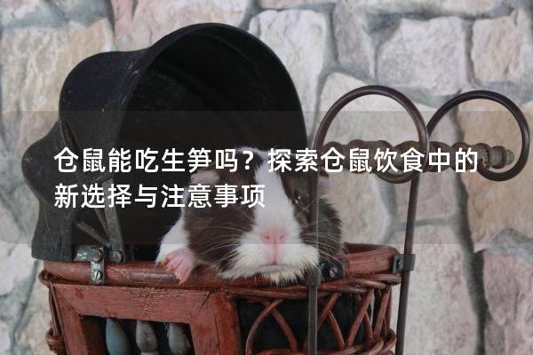 仓鼠能吃生笋吗?探索仓鼠饮食中的新选择与注意事项 仓鼠能吃生笋吗?探索仓鼠饮食中的新选择与注意事项