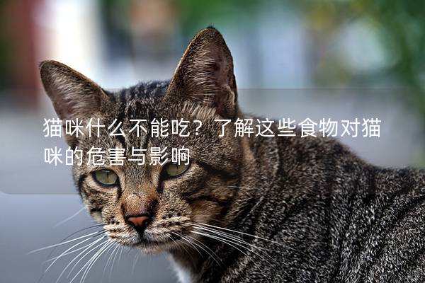 猫咪什么不能吃？了解这些食物对猫咪的危害与影响