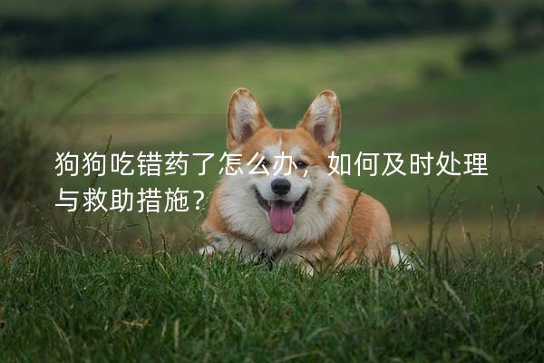 狗狗吃错药了怎么办，如何及时处理与救助措施？