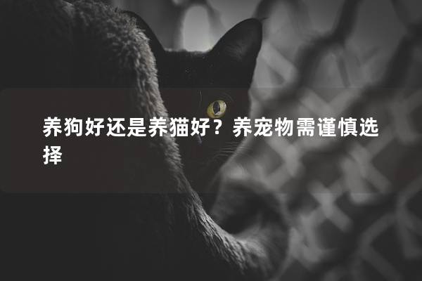 养狗好还是养猫好？养宠物需谨慎选择