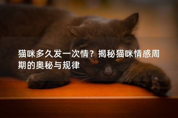 猫咪多久发一次情？揭秘猫咪情感周期的奥秘与规律