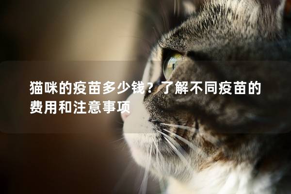 猫咪的疫苗多少钱？了解不同疫苗的费用和注意事项