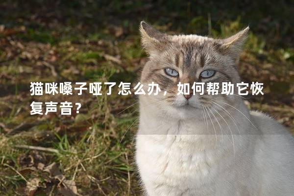 猫咪嗓子哑了怎么办，如何帮助它恢复声音？