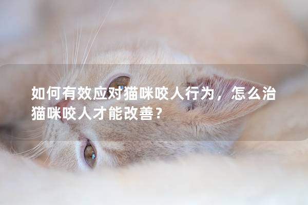 如何有效应对猫咪咬人行为，怎么治猫咪咬人才能改善？