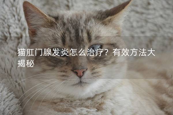 猫肛门腺发炎怎么治疗？有效方法大揭秘