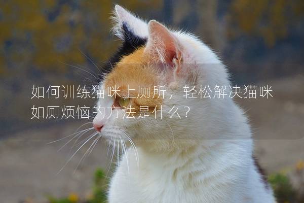 如何训练猫咪上厕所，轻松解决猫咪如厕烦恼的方法是什么？