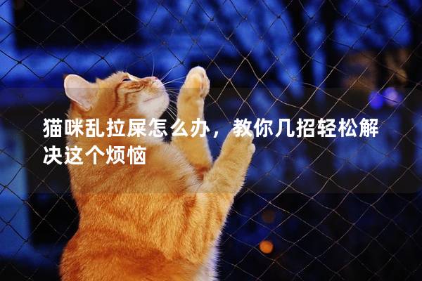 猫咪乱拉屎怎么办，教你几招轻松解决这个烦恼