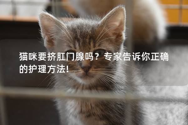 猫咪要挤肛门腺吗？专家告诉你正确的护理方法!