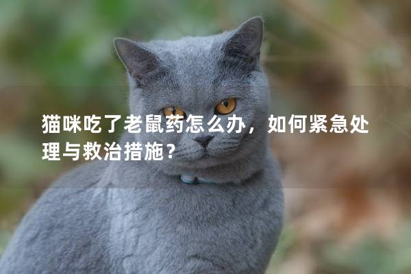 猫咪吃了老鼠药怎么办，如何紧急处理与救治措施？