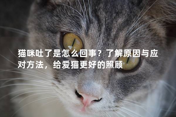 猫咪吐了是怎么回事？了解原因与应对方法，给爱猫更好的照顾