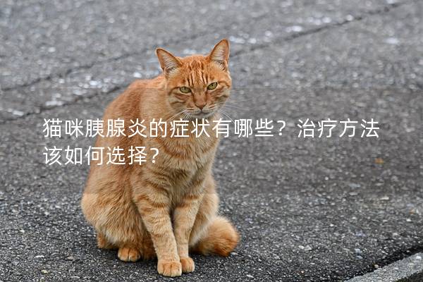 猫咪胰腺炎的症状有哪些？治疗方法该如何选择？