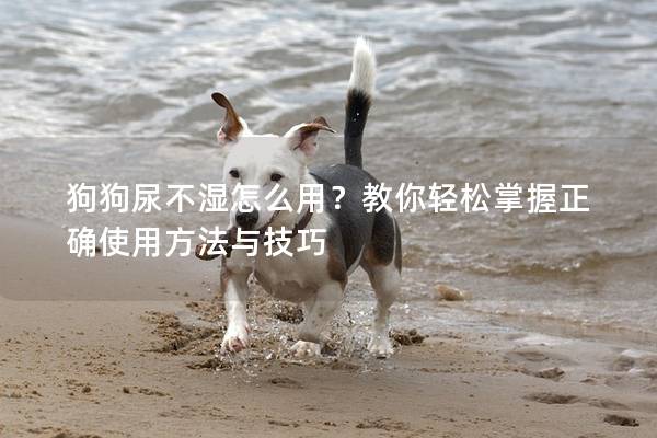 狗狗尿不湿怎么用？教你轻松掌握正确使用方法与技巧