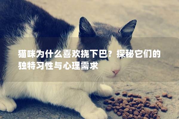 猫咪为什么喜欢挠下巴？探秘它们的独特习性与心理需求