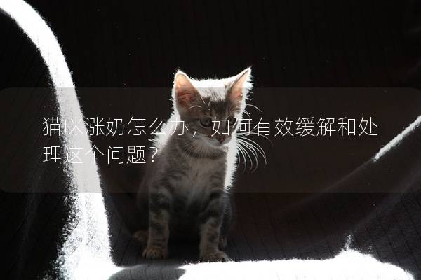 猫咪涨奶怎么办，如何有效缓解和处理这个问题？