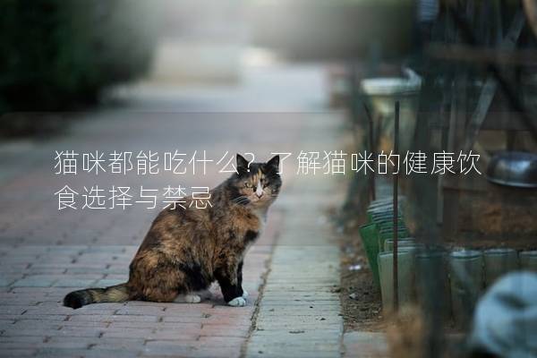 猫咪都能吃什么？了解猫咪的健康饮食选择与禁忌