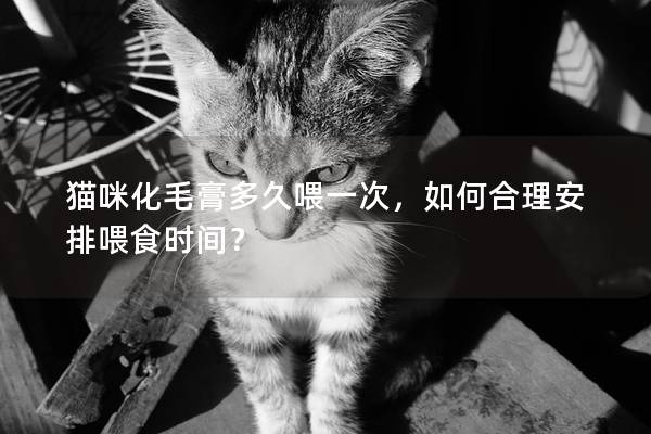 猫咪化毛膏多久喂一次，如何合理安排喂食时间？