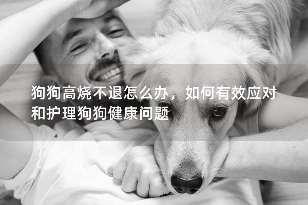 狗狗高烧不退怎么办，如何有效应对和护理狗狗健康问题