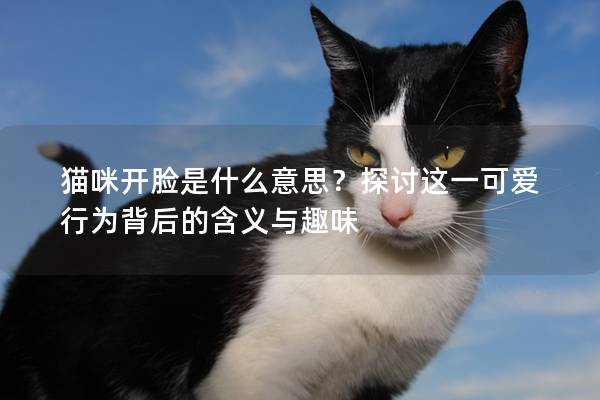 猫咪开脸是什么意思？探讨这一可爱行为背后的含义与趣味