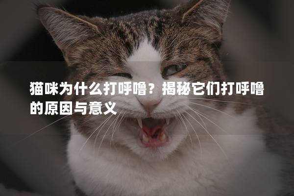 猫咪为什么打呼噜？揭秘它们打呼噜的原因与意义