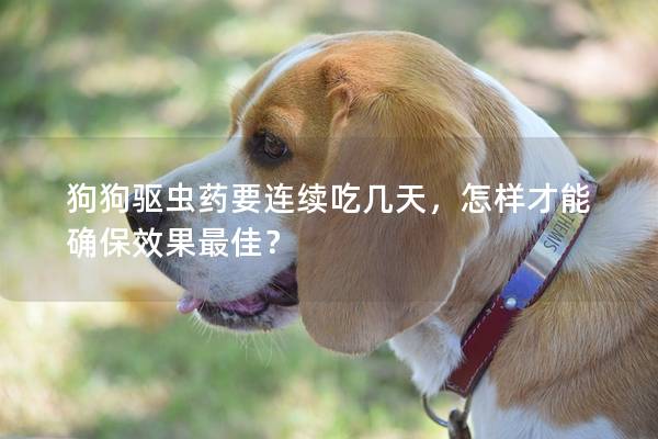 狗狗驱虫药要连续吃几天，怎样才能确保效果最佳？