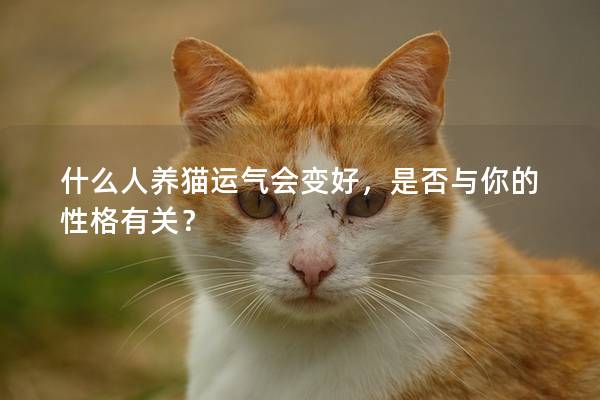 什么人养猫运气会变好，是否与你的性格有关？