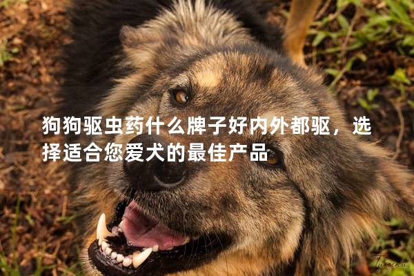 狗狗驱虫药什么牌子好内外都驱，选择适合您爱犬的最佳产品