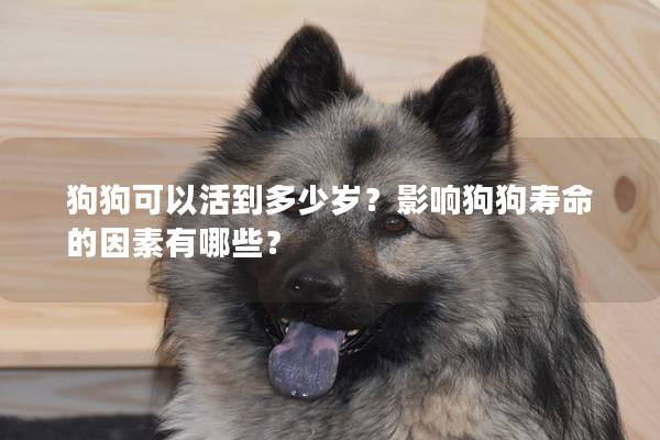 狗狗可以活到多少岁？影响狗狗寿命的因素有哪些？