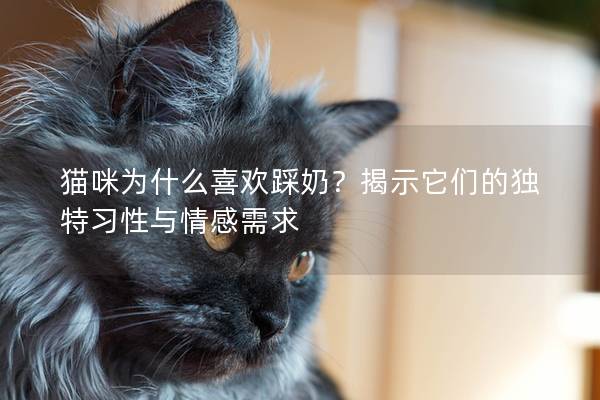 猫咪为什么喜欢踩奶？揭示它们的独特习性与情感需求