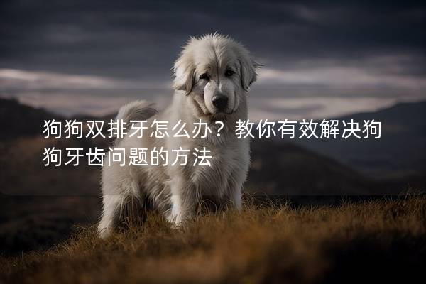 狗狗双排牙怎么办？教你有效解决狗狗牙齿问题的方法