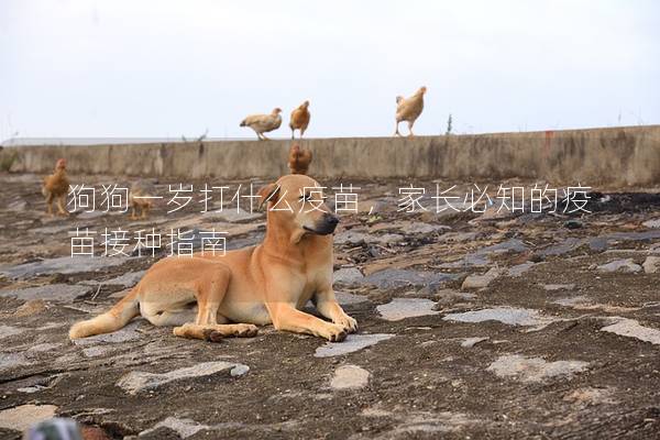 狗狗一岁打什么疫苗，家长必知的疫苗接种指南