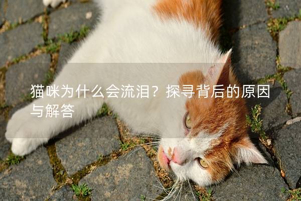 猫咪为什么会流泪？探寻背后的原因与解答