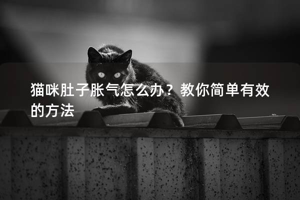 猫咪肚子胀气怎么办？教你简单有效的方法