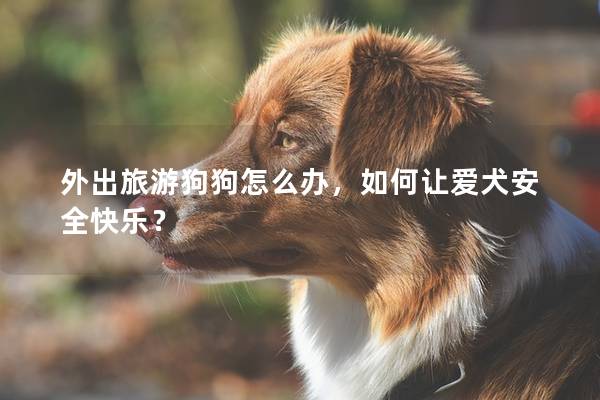 外出旅游狗狗怎么办，如何让爱犬安全快乐？