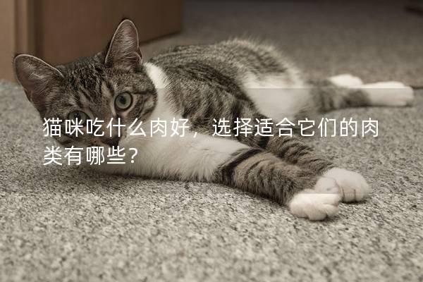 猫咪吃什么肉好，选择适合它们的肉类有哪些？